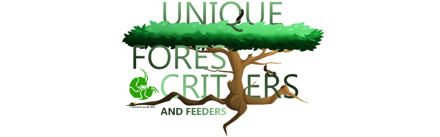 Unique Forest Critters